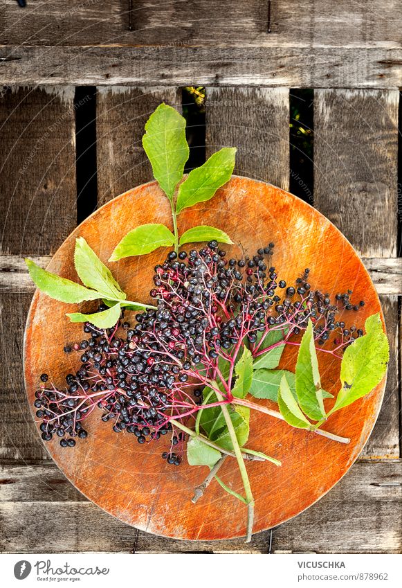 Elder Zweig mit Blättern und Beeren Ernährung Bioprodukte Lifestyle Garten Natur Pflanze Sommer Herbst Holunderbeeren alt Holz Schneidebrett Tisch Außenaufnahme