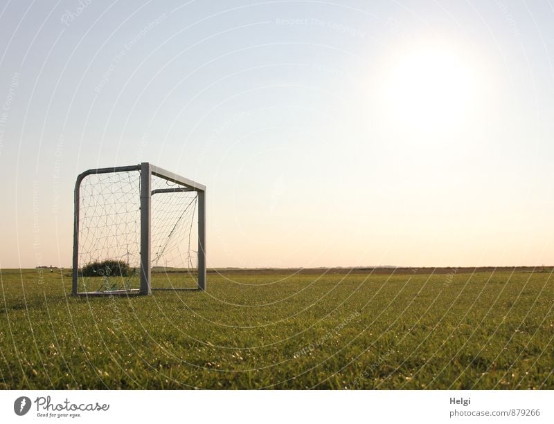 nix los... Sport Ballsport Fußball Fußballplatz Fußballtor Umwelt Natur Landschaft Pflanze Himmel Sonnenlicht Sommer Schönes Wetter Gras Grünpflanze Wiese