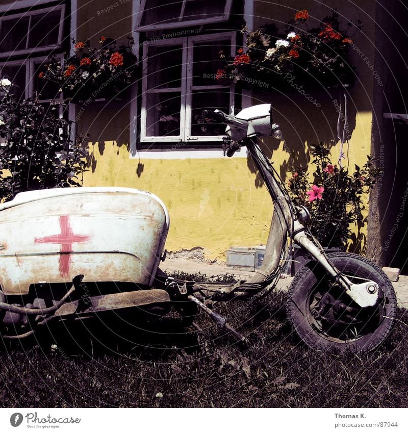 Quadrophenia ist lange her.... Fenster Blume Gabel Karosserie gelb Ständer Kleinmotorrad alt Sanieren Schrott Gras Vergänglichkeit kickstarter federung