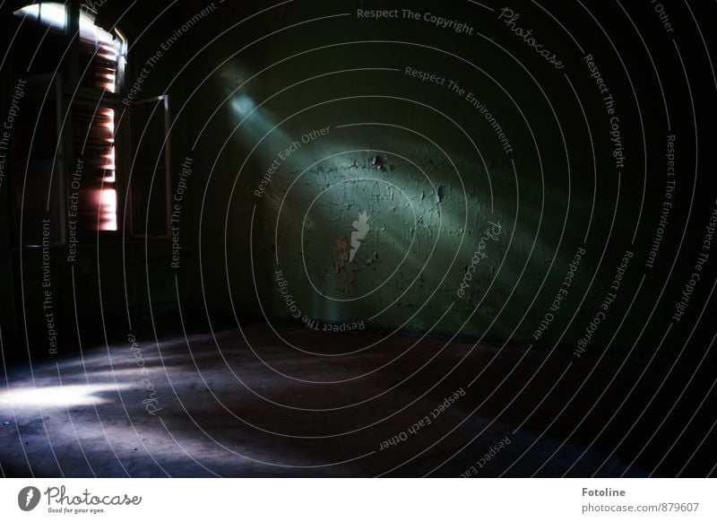 Licht im Dunkel Haus Bauwerk Gebäude Fenster alt dunkel kalt Unbewohnt verfallen verbrettert Altbau Farbfoto Gedeckte Farben Innenaufnahme Menschenleer Tag