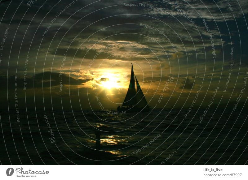 before_sunset Segeln Segelschiff Sonnenuntergang Meer Segeltörn Wellen schön traumhaft Regatta himmlisch Schifffahrt Farbe Wasser Himmel sailing Natur