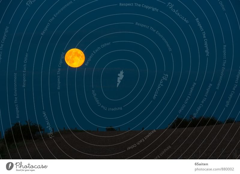 How High The Moon Natur Himmel Nachthimmel Horizont Mond Vollmond Hügel außergewöhnlich blau gold schwarz ruhig ästhetisch Energie Frieden geheimnisvoll Idylle