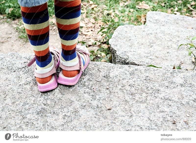 langstrumpf Ringelsocken Strümpfe rosa Kniestrümpfe Kind Beine Fuß strumpfwaren