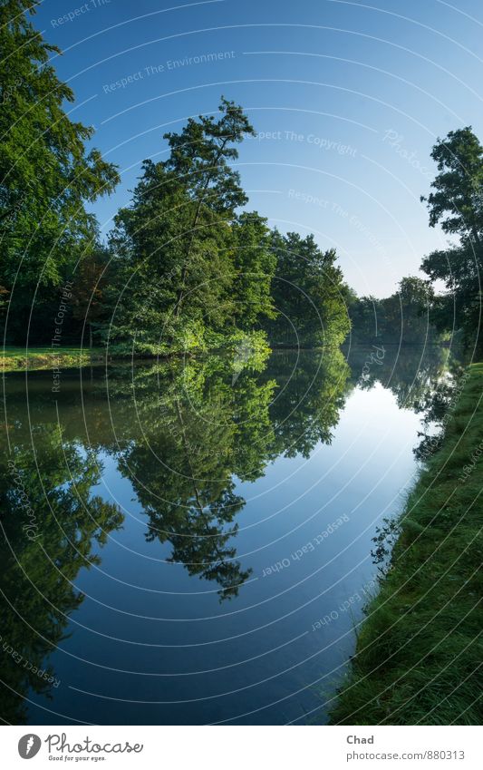 Morgen Spiegelung Umwelt Natur Landschaft Pflanze Wasser Himmel Wolkenloser Himmel Sommer Schönes Wetter Baum Gras Sträucher Park Seeufer Teich Erholung