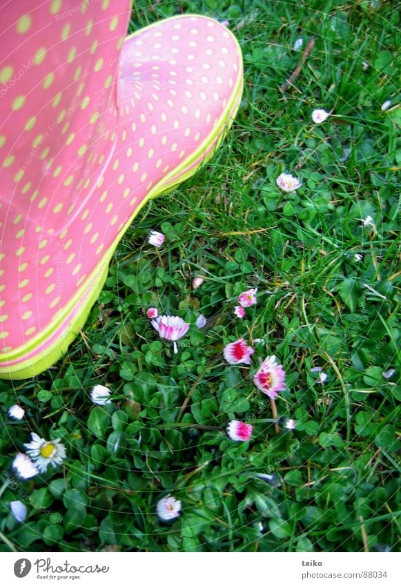 Rosa's gumboots I rosa getupft Gummistiefel Schuhe Stiefel Gras Blume Gänseblümchen gelb grün Muster Frühling springen saftig Bekleidung patterned daisys