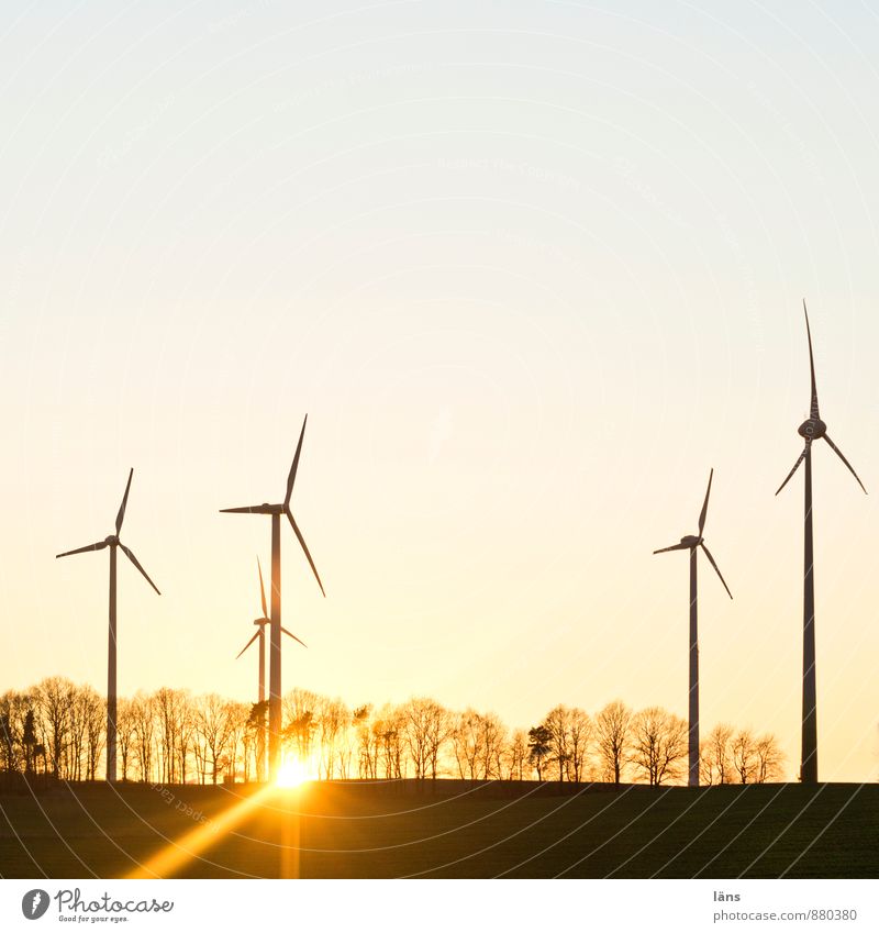 und schnitt Sonne Energiewirtschaft Windkraftanlage Himmel Wolkenloser Himmel Sonnenaufgang Sonnenuntergang Sonnenlicht Frühling Herbst Winter Schönes Wetter