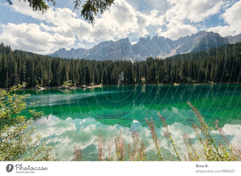 KarerSee II Umwelt Landschaft Pflanze Wolken Horizont Sommer Schönes Wetter Wald Berge u. Gebirge Kitsch grün türkis Ferien & Urlaub & Reisen Südtirol Dolomiten