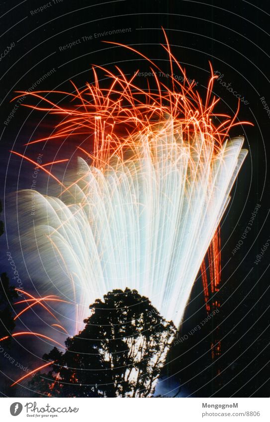 Feuerwerk4 Nacht mehrfarbig rot Baum Langzeitbelichtung hell Funken