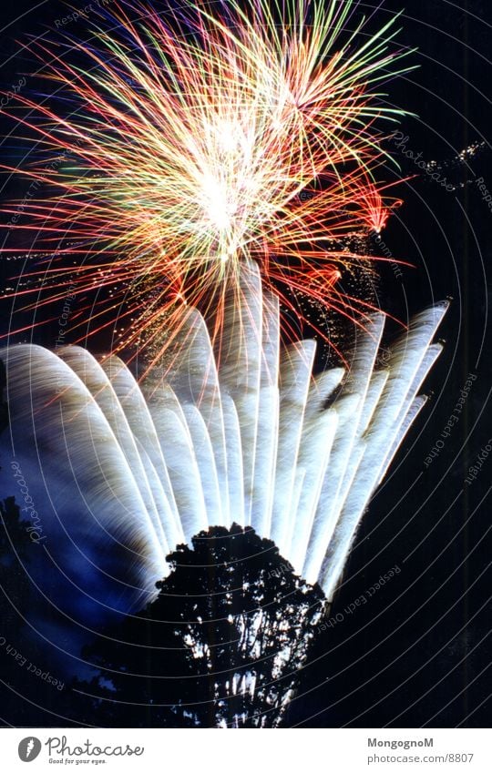 Feuerwerk3 Nacht mehrfarbig rot gelb Baum Fototechnik hell Funken