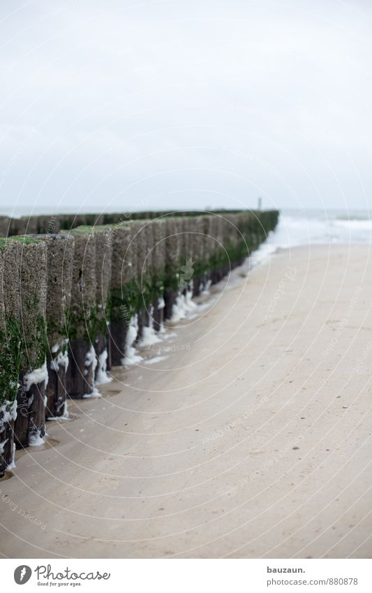 schaumschläger. Ferien & Urlaub & Reisen Tourismus Ausflug Ferne Freiheit Strand Meer Insel Wellen Natur Moos Küste Nordsee Holzpfahl Sand Linie nass Beginn