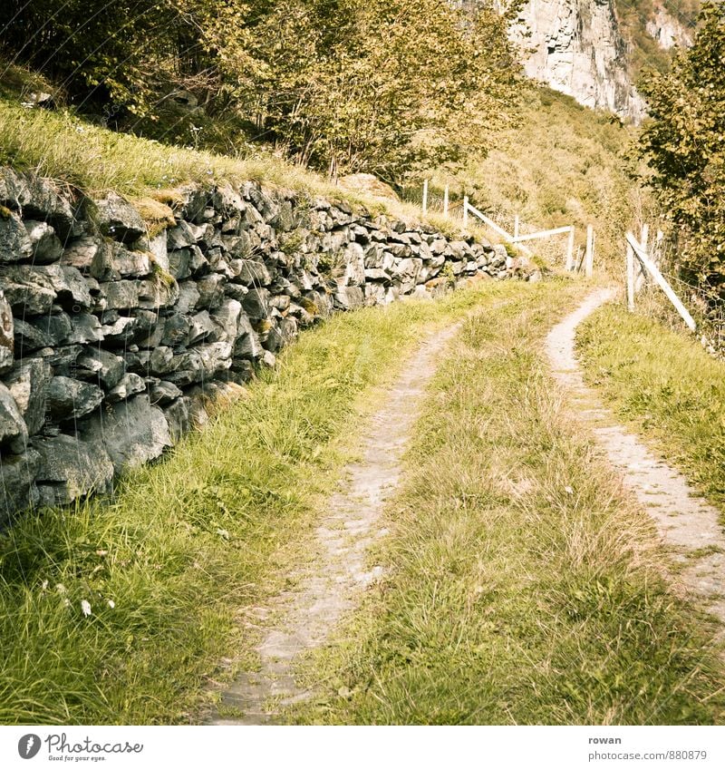 feldweg Natur Landschaft Park Wiese Feld Fußgänger Wege & Pfade ruhig Erholung Fußweg Steinmauer Landleben Farbfoto Außenaufnahme Menschenleer