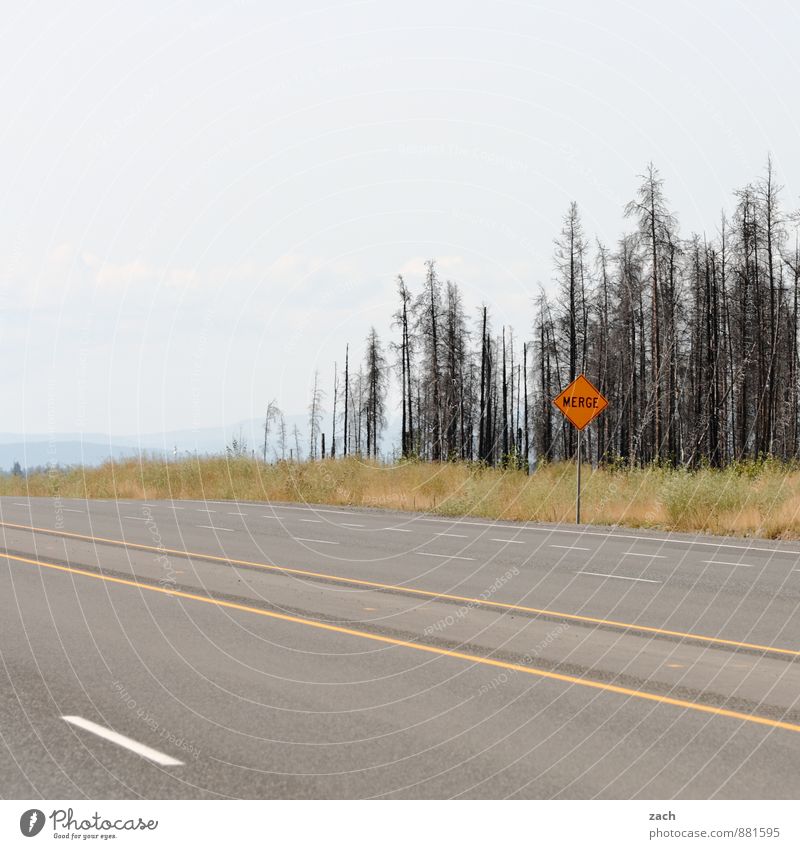 Hi, Way! Ausflug Ferne Natur Himmel Wolken Sommer Herbst Baum Gras Sträucher Kanada Nordamerika Verkehrswege Straßenverkehr Autofahren Wege & Pfade Autobahn