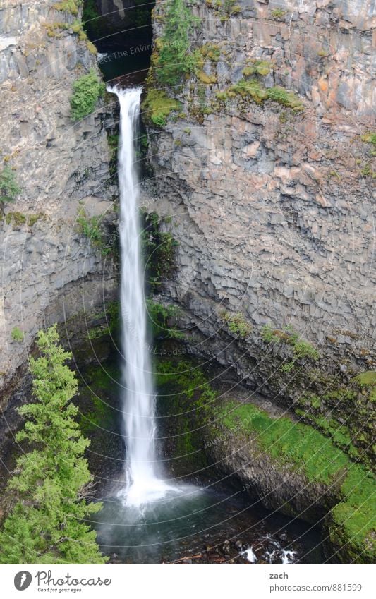 Auslaufmodell | entkorkt Ausflug Landschaft Wasser Sommer Pflanze Baum Gras Moos Hügel Felsen Berge u. Gebirge Teich Wasserfall Schwimmen & Baden fallen wild