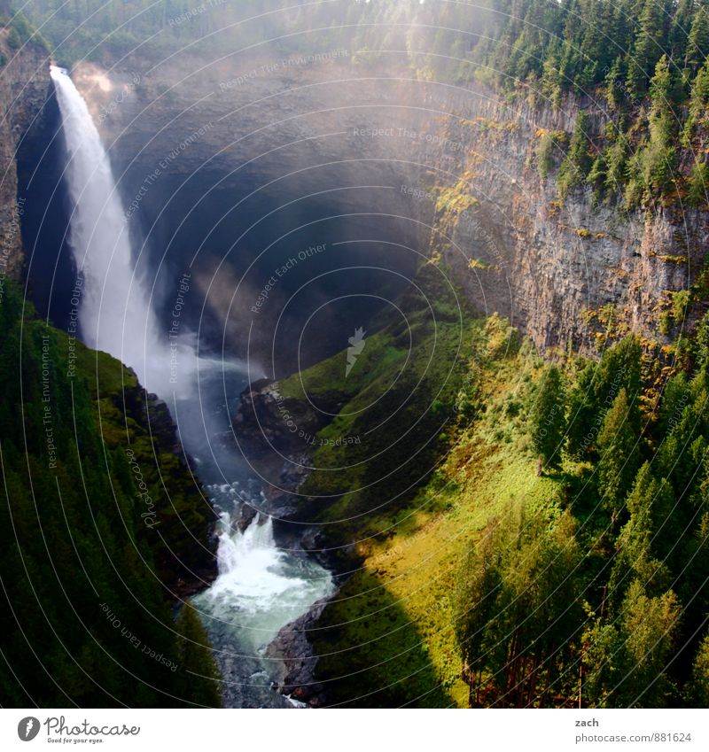 alles muss raus Tourismus Ferne Landschaft Wasser Wassertropfen Sonnenlicht Sommer Nebel Pflanze Baum Moos Wald Hügel Felsen Schlucht Wellen Flussufer Bach