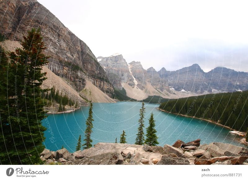 Moraine Lake Ferne Natur Landschaft Wasser Himmel Wolken Sommer Herbst Pflanze Baum Nadelbaum Nadelwald Wald Hügel Felsen Berge u. Gebirge Rocky Mountains