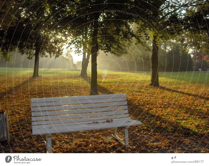 Herbsttraum Abenddämmerung Schlosspark Schattenspiel Sonnenuntergang Herbstbeginn Bank Deutschland blätterfall