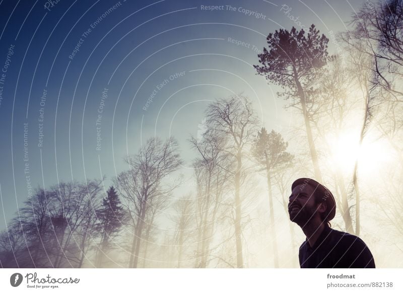 aha-effekt Mensch maskulin Junger Mann Jugendliche Erwachsene 1 Umwelt Natur Sonne Sonnenlicht Schönes Wetter Nebel Baum Wald Hut Dreitagebart Blick blenden