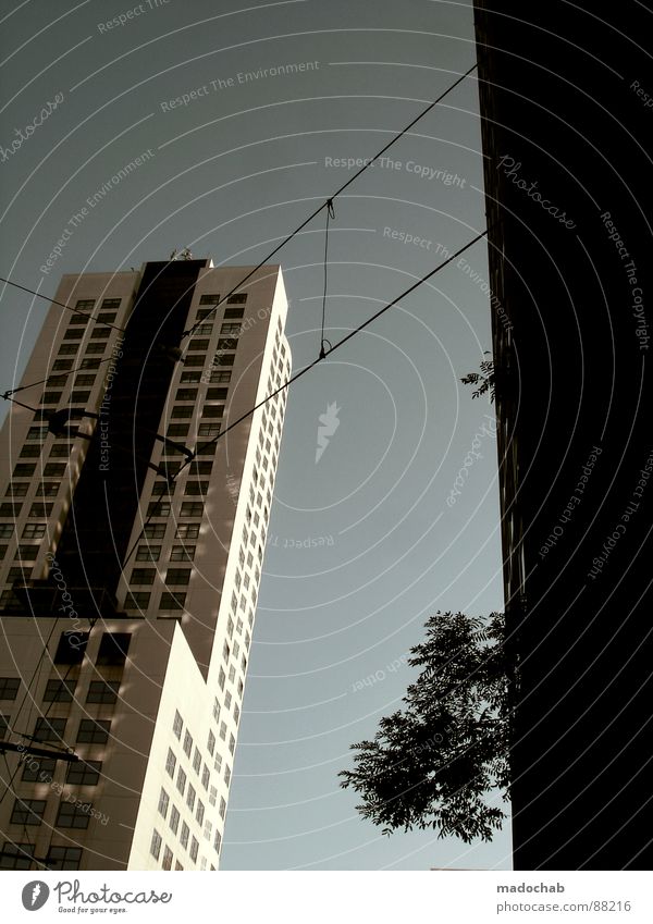 CONNECTING PEACEFULLY Haus Hochhaus Gebäude Material Fenster live Pflanze Baum Natur Block Beton Etage Apokalypse brilliant Endzeitstimmung himmlisch Götter