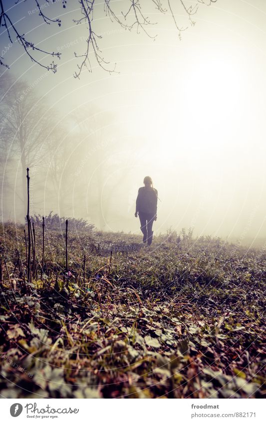 dunstgunst Mensch feminin Junge Frau Jugendliche Erwachsene 1 Natur Landschaft Herbst Winter Schönes Wetter Sturm Eis Frost Baum Wiese Feld Wald laufen wandern