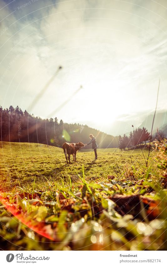 Kontakt Mensch feminin Junge Frau Jugendliche Erwachsene 1 Umwelt Natur Landschaft Herbst Schönes Wetter Wiese Hügel Alpen Berge u. Gebirge Gipfel Tier Nutztier