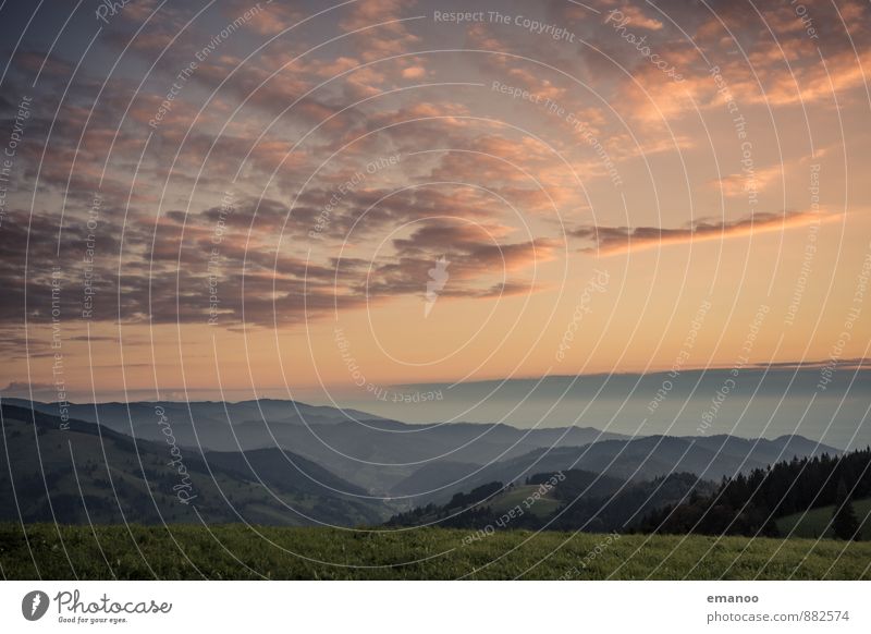 black forest Ferien & Urlaub & Reisen Ausflug Ferne Freiheit Sommer Berge u. Gebirge wandern Natur Landschaft Himmel Wolken Wetter Gras Wald Hügel hoch