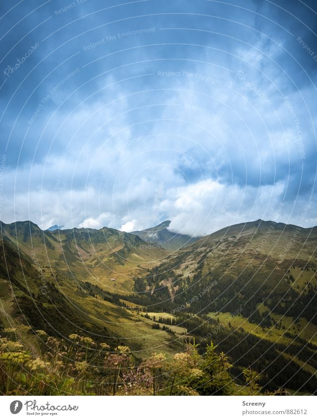 Die Wolken kommen... Ferien & Urlaub & Reisen Tourismus Ausflug Ferne Berge u. Gebirge wandern Natur Landschaft Pflanze Himmel Sommer Wetter Alpen