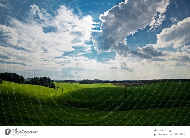 Schatten vs. Sonne Umwelt Natur Landschaft Pflanze Himmel Horizont Sommer Wetter Schönes Wetter Baum Gras Wiese Wald Hügel Österreich blau grün weiß Ferne