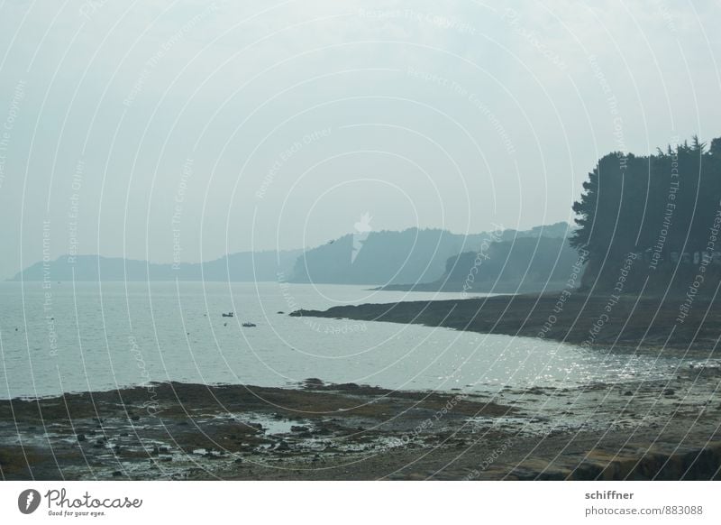 Geduld | die Sonne schafft den Nebel Natur Landschaft Schönes Wetter Baum Wald Wellen Küste Seeufer Strand Bucht trist Dunst Flussufer Meer ruhig grau Trauer