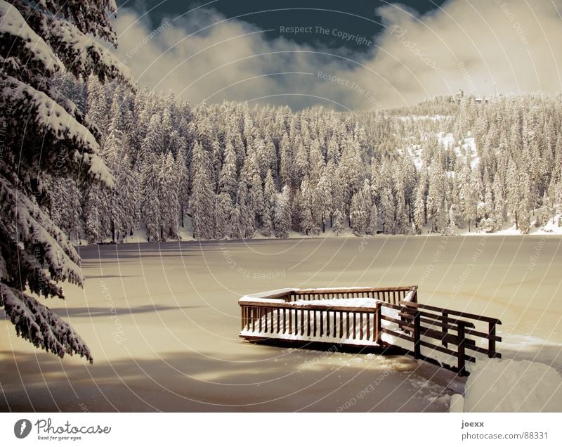 Rampe ins Glück Bergwald See Hornisgrinde Minusgrade Gebirgssee Einsamkeit frieren Steg kalt Mummelsee Oberfläche ruhig Schwarzwald Tanne Nadelwald Tiefschnee