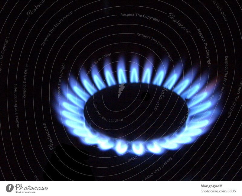 Gasflamme Herd & Backofen Physik Elektrisches Gerät Technik & Technologie Flamme blaue Flamme Wärme Makroaufnahme