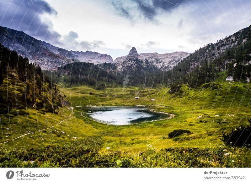 Der Funtensee ist ein Karstsee Ferien & Urlaub & Reisen Abenteuer Ferne Freiheit wandern Umwelt Natur Landschaft Pflanze Urelemente Sommer schlechtes Wetter