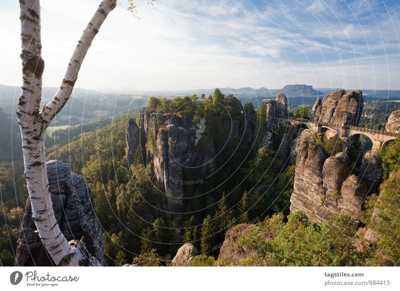 Y Bastei Basteibrücke Elbsandsteingebirge Sonnenaufgang Brücke Felsen Berge u. Gebirge Dresden Rathen Sachsen Aussicht Attraktion Tourismus Sehenswürdigkeit