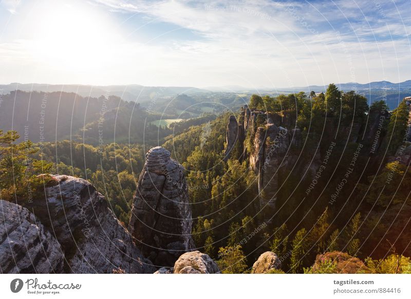 NATUR Elbsandsteingebirge Sonnenaufgang Felsen Berge u. Gebirge Dresden Rathen Sachsen Aussicht Attraktion Tourismus Sehenswürdigkeit Ferien & Urlaub & Reisen