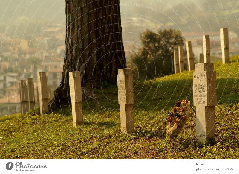 Soldatenfriedhof Blumenkranz Trauer Grab Verzweiflung Freidhof Rücken