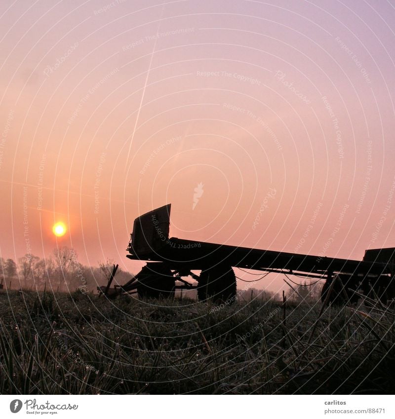 Wer früh anfängt ... frieren Tau Morgen Sonnenaufgang Raureif Bodennebel Wiese Zaun Baumreihe diffus Hoffnung aufgehen vage Gras Ambiente unklar ungenau Grenze