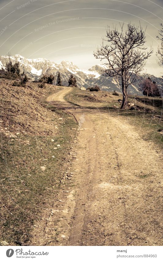 Der führt sicher da rauf? Ferien & Urlaub & Reisen Tourismus Ausflug Ferne Berge u. Gebirge wandern Natur Landschaft Wolken Frühling Herbst Schönes Wetter Alpen