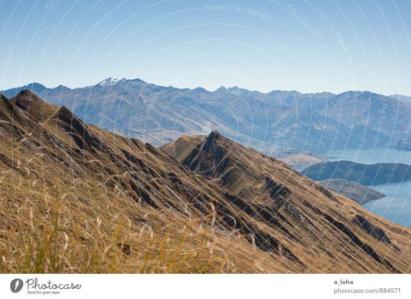 on top of the world Umwelt Natur Landschaft Pflanze Urelemente Wasser Himmel Wolkenloser Himmel Horizont Sommer Wetter Schönes Wetter Wärme Dürre Gras Felsen