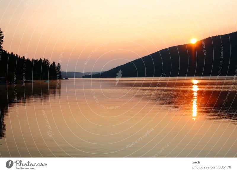 Wohlfühloase | morgens am Loon Lake Ferne Landschaft Wasser Wolkenloser Himmel Sonnenaufgang Sonnenuntergang Sonnenlicht Sommer Schönes Wetter Baum Hügel Küste