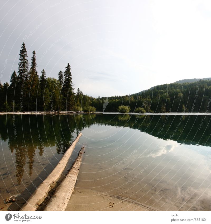 klares Wasser Ferien & Urlaub & Reisen Tourismus Ferne Natur Landschaft Himmel Sonnenlicht Sommer Pflanze Baum Sträucher Park Wald Hügel Seeufer Clearwater Lake