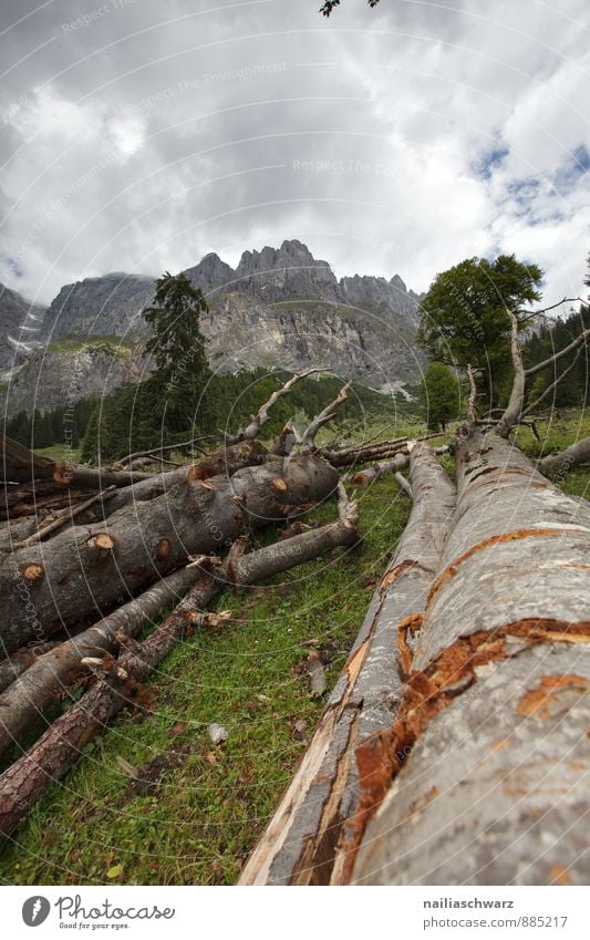 gefällter Baum, Alpen Sommer Landwirtschaft Forstwirtschaft Handwerk Umwelt Natur Landschaft Himmel schlechtes Wetter Gras Berge u. Gebirge dunkel gigantisch