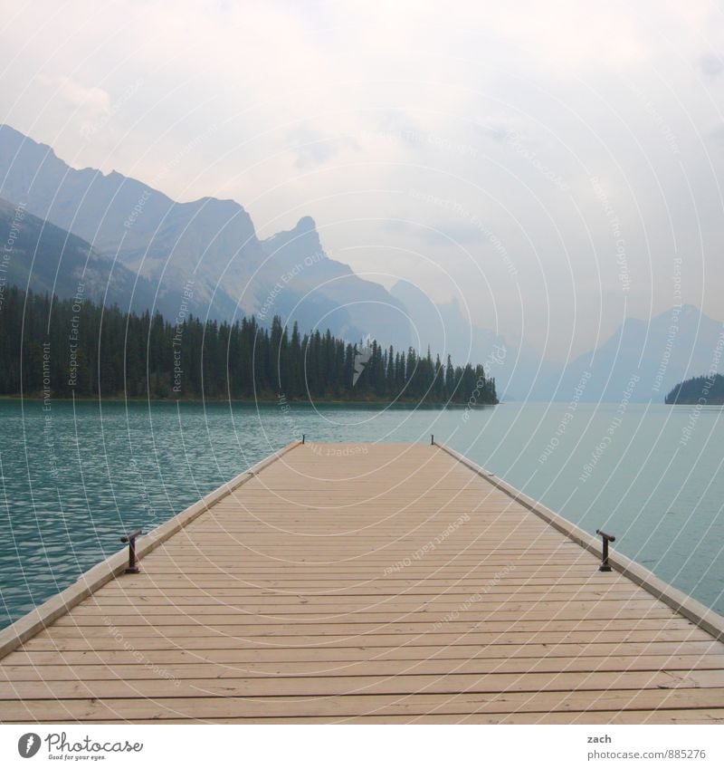 one way Ferne Wasser Himmel Wolken Sommer Baum Nadelbaum Nadelwald Hügel Felsen Berge u. Gebirge Rocky Mountains Gipfel Küste Seeufer Maligne Lake Jasper