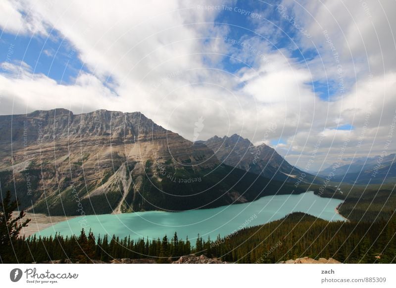 Ausblick auf Peyto Lake Ferien & Urlaub & Reisen Tourismus Ferne Natur Landschaft Wasser Himmel Wolken Sonnenlicht Sommer Schönes Wetter Pflanze Baum Wald