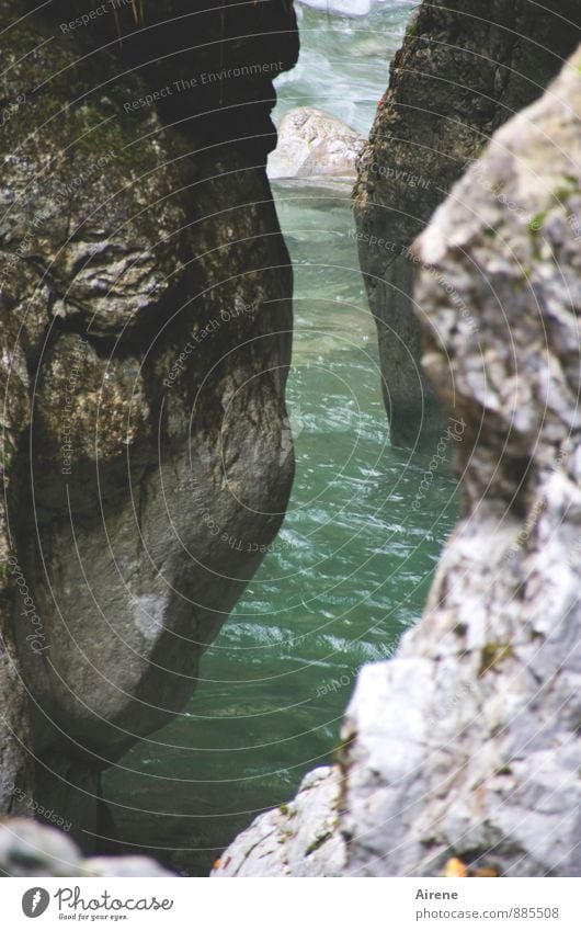 Geduld | steter Tropfen Landschaft Urelemente Wasser Felsen Alpen Berge u. Gebirge Steinernes Meer Schlucht Bach Felsenschlucht Wildbach Gletscherspalte Schlitz