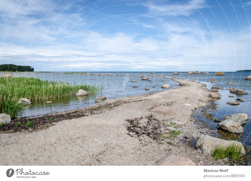 Saartneem Natur Landschaft Sand Wasser Schilfrohr Felsen Küste Ostsee Käsmu Laheema-Nationalpark Estland Europa Idylle Ferien & Urlaub & Reisen Farbfoto