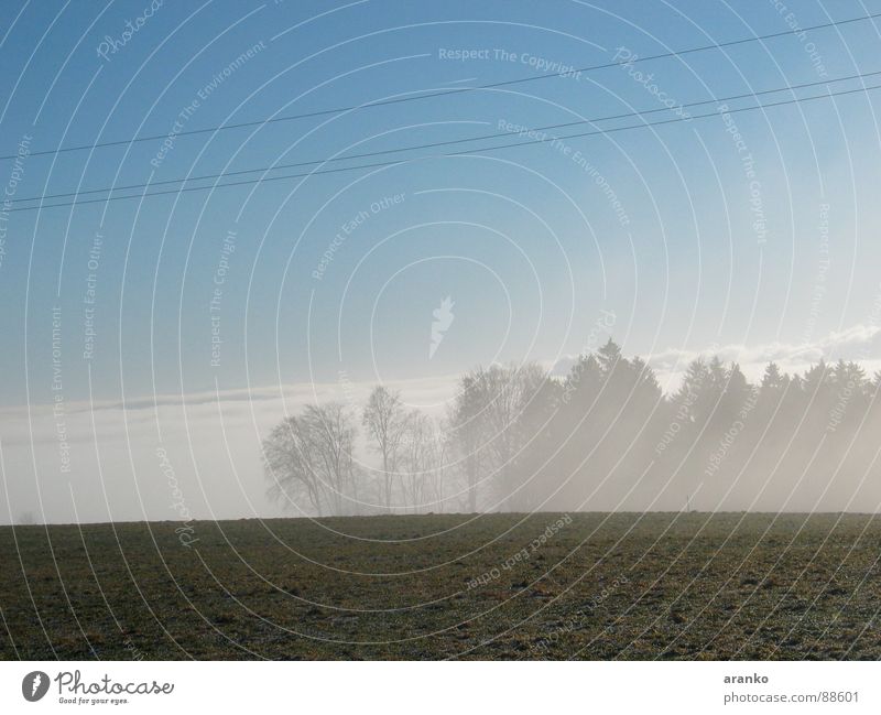 nebelig Nebel Wolkendecke über den Wolken Nebelbank Wiese Wald Horizont Himmel wald im nebel