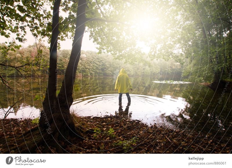 zu lande und zu wasser Mensch Mann Erwachsene 1 30-45 Jahre Umwelt Natur Landschaft Pflanze Tier Sonne Wald Wellen Seeufer Teich stehen Waldsee Regenmantel