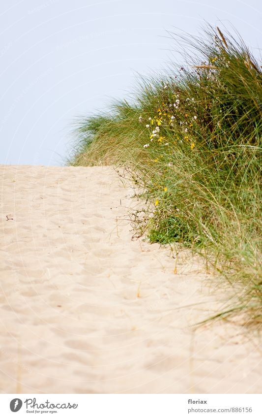 hinüber zum meer I/III Ferien & Urlaub & Reisen Tourismus Ausflug Abenteuer Ferne Freiheit Sommer Sommerurlaub Strand Meer Insel Umwelt Natur Landschaft Pflanze