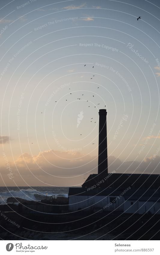 Fischfabrik Ferien & Urlaub & Reisen Tourismus Städtereise Himmel Wolken Horizont Sonne Meer Möwe Vogel Fabrik Südafrika Farbfoto Außenaufnahme