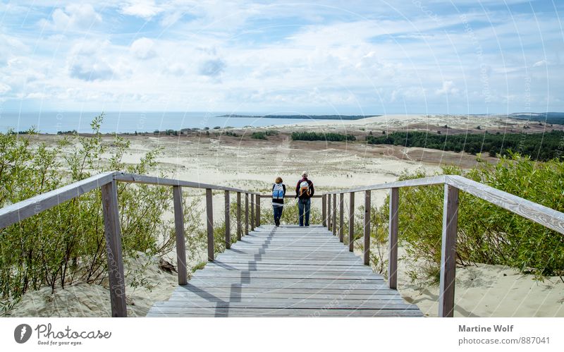 Wanderdüne? Landschaft Sand Bucht Ostsee Kurische Nehrung Nida Litauen Europa Sehenswürdigkeit Natur Ferien & Urlaub & Reisen Ferne Farbfoto Außenaufnahme