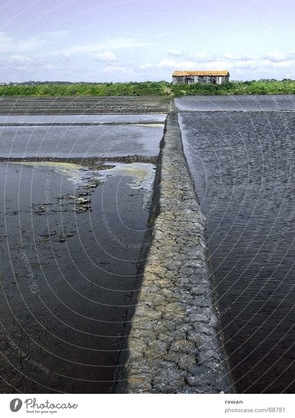 Salzgarten Handwerk Saline Schlamm Meer See Wellen Haus Baracke kommen Steg Teilung Wasser alt Einsamkeit aufgegeben Entsalzen Meeressalz Meersalz Wege & Pfade